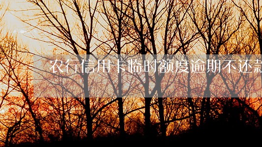 农行信用卡临时额度逾期不还款 农行信用卡临时额度逾期不还款