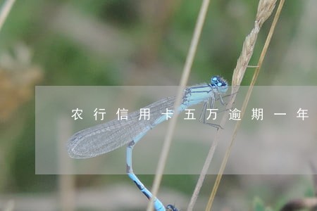 农行信用卡五万逾期一年了 农行信用卡五万逾期一年了