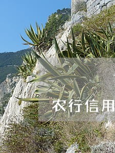 农行信用卡六千多逾期会上门吗 农行信用卡六千多逾期会上门吗