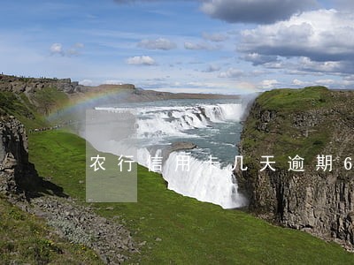 农行信用卡几天逾期6