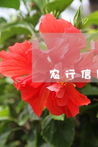 农行信用卡到期后还款日算逾期吗 农行信用卡到期后还款日算逾期吗