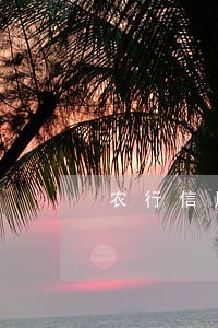 农行信用卡十万逾期了