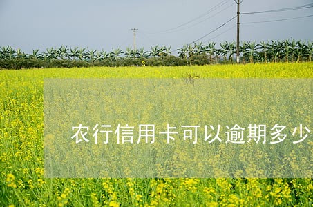农行信用卡可以逾期多少天 农行信用卡可以逾期多少天