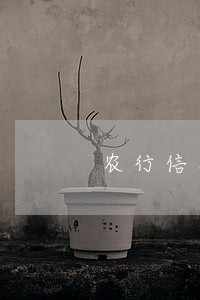农行信用卡四万逾期三年 农行信用卡四万逾期三年