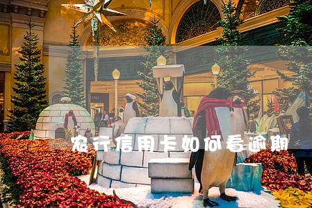 农行信用卡如何看逾期 农行信用卡如何看逾期