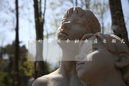 农行信用卡封卡后逾期几个月了