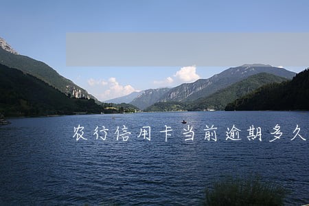 农行信用卡当前逾期多久更新