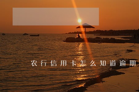 农行信用卡怎么知道逾期 农行信用卡怎么知道逾期