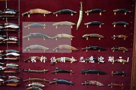 农行信用卡无意逾期了11天