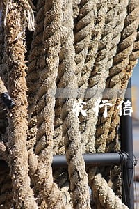 农行信用卡晚一天还款算逾期吗 农行信用卡晚一天还款算逾期吗