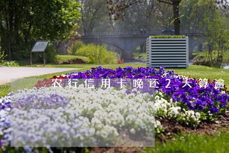 农行信用卡晚还2天算逾期吗 农行信用卡晚还2天算逾期吗