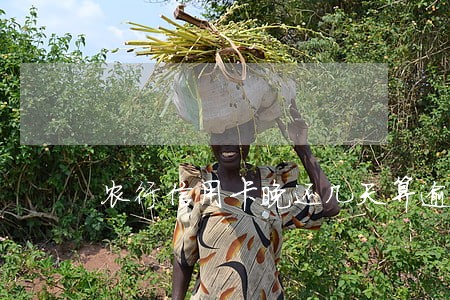 农行信用卡晚还几天算逾期