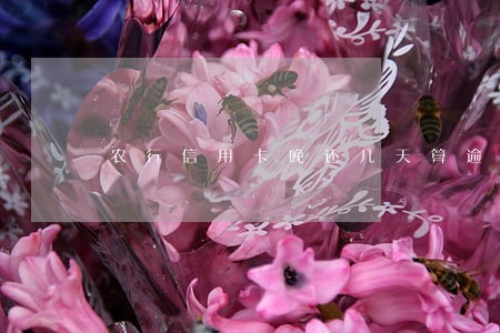 农行信用卡晚还几天算逾期6 农行信用卡晚还几天算逾期6