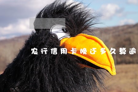 农行信用卡晚还多久算逾期 农行信用卡晚还多久算逾期
