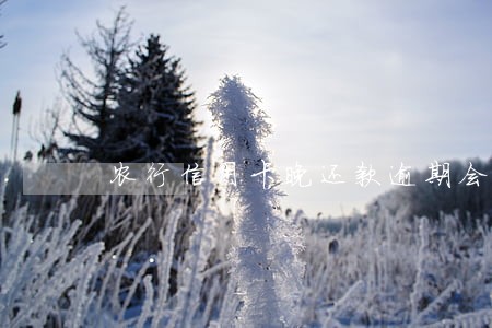 农行信用卡晚还款逾期会怎么样 农行信用卡晚还款逾期会怎么样
