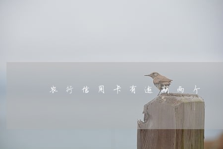 农行信用卡有逾期两个 农行信用卡有逾期两个