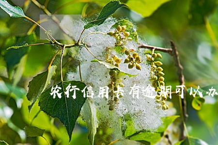农行信用卡有逾期可以办业务么 农行信用卡有逾期可以办业务么