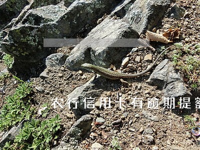农行信用卡有逾期提额度 农行信用卡有逾期提额度