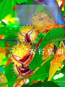 农行信用卡欠一万逾期 农行信用卡欠一万逾期