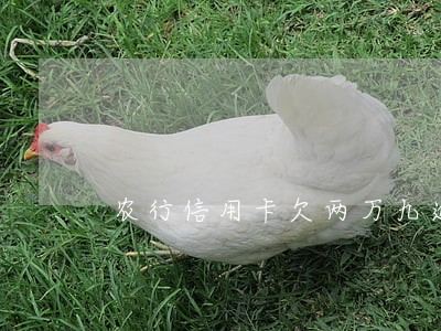 农行信用卡欠两万九逾期 农行信用卡欠两万九逾期