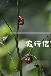 农行信用卡没有逾期交易限制