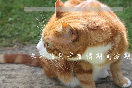 农行信用卡疫情期间逾期两天 农行信用卡疫情期间逾期两天