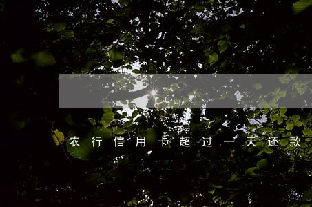 农行信用卡超过一天还款算逾期吗