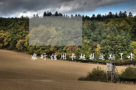 农行信用卡超额逾期了咋办 农行信用卡超额逾期了咋办