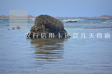 农行信用卡还款几天算逾期 农行信用卡还款几天算逾期