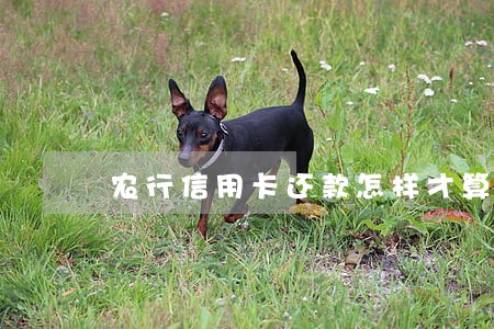 农行信用卡还款怎样才算逾期