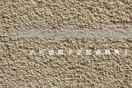 农行信用卡还款逾期两天