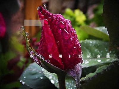 农行信用卡还款逾期二天 农行信用卡还款逾期二天