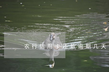 农行信用卡还款逾期几天