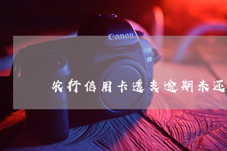 农行信用卡透支逾期未还计算法