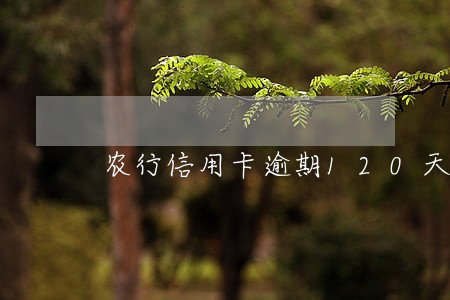农行信用卡逾期120天 农行信用卡逾期120天