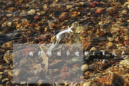 农行信用卡逾期13天严重吗 农行信用卡逾期13天严重吗