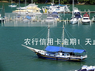 农行信用卡逾期1天止付了