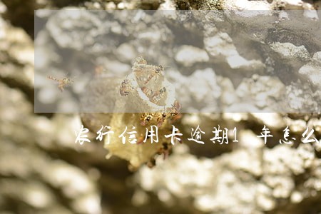农行信用卡逾期1年怎么办
