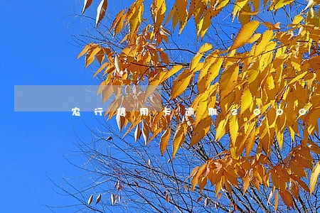 农行信用卡逾期20000 农行信用卡逾期20000