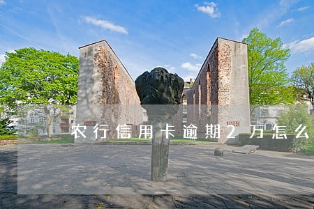 农行信用卡逾期2万怎么办 农行信用卡逾期2万怎么办