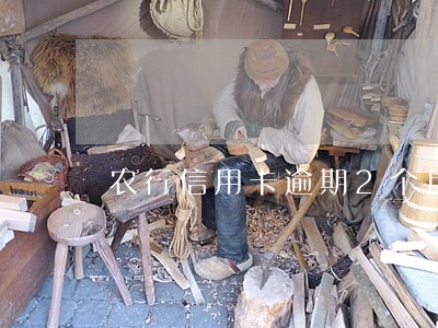 农行信用卡逾期2个月6 农行信用卡逾期2个月6