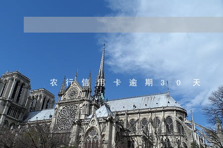 农行信用卡逾期30天