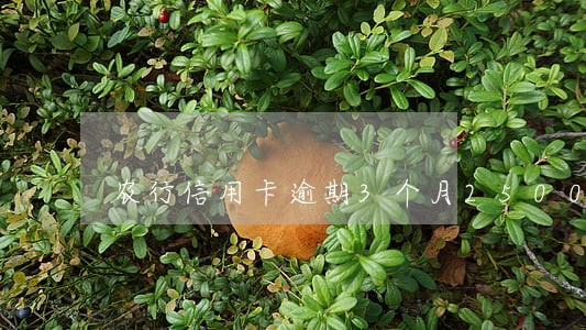 农行信用卡逾期3个月25000 农行信用卡逾期3个月25000