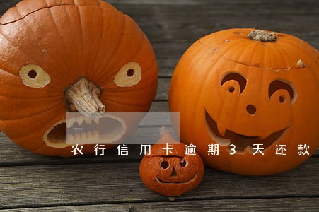 农行信用卡逾期3天还款 农行信用卡逾期3天还款