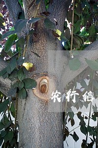 农行信用卡逾期3天锁卡