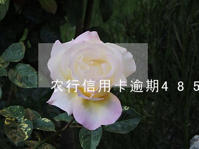 农行信用卡逾期485天 农行信用卡逾期485天