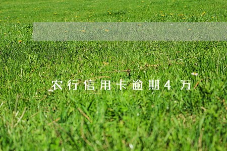 农行信用卡逾期4万