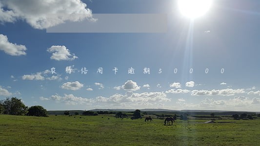 农行信用卡逾期50000