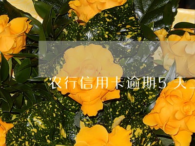 农行信用卡逾期5天上黑名单吗 农行信用卡逾期5天上黑名单吗