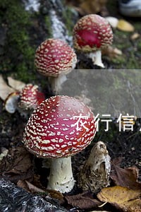 农行信用卡逾期6个月6 农行信用卡逾期6个月6